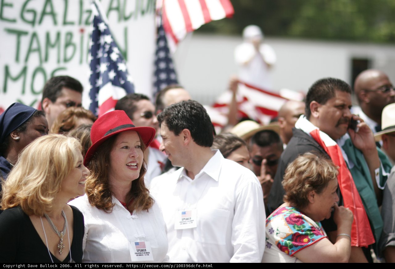 Patriotic Crowd