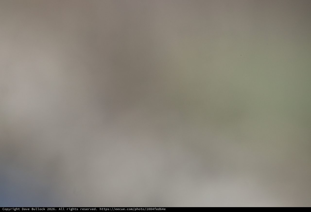 Misty Wetland Landscape at Dusk