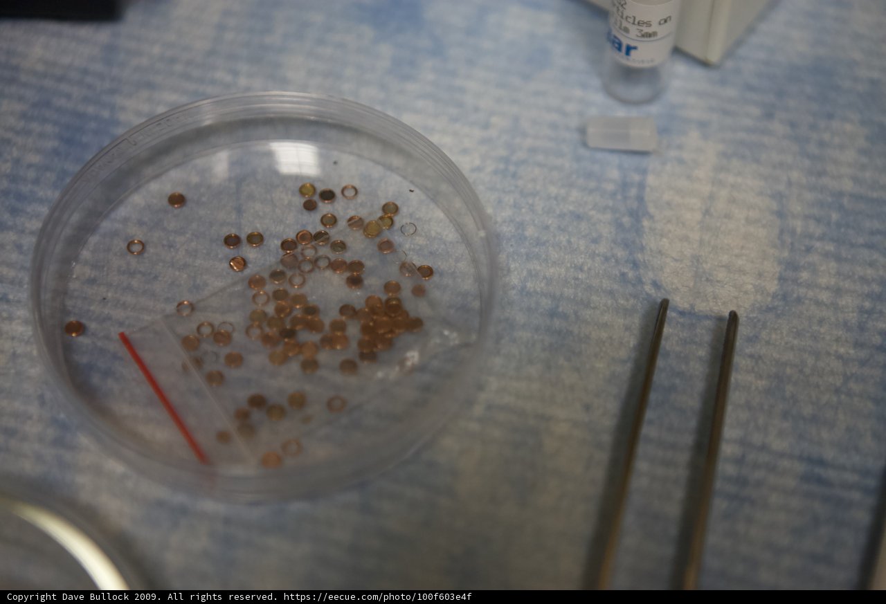 Tiny Treasures