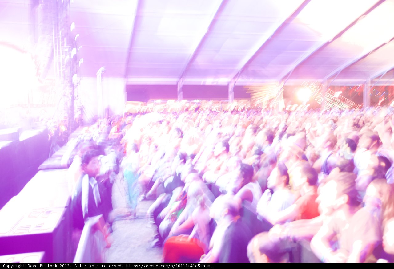 Coachella Concert Crowd