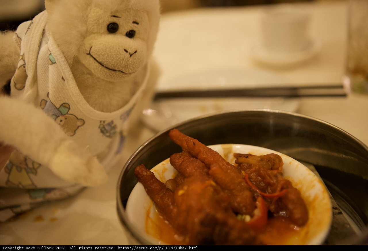 Hungry Monkey