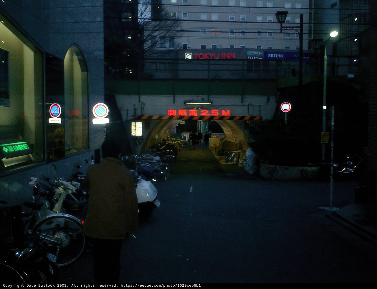 Night Walk in Tokyo