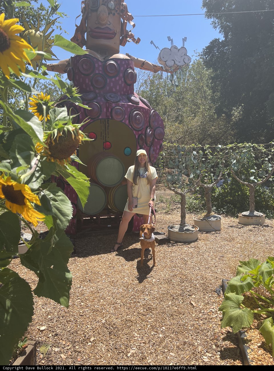 A Woman and Her Canine Companion Enjoying a Garden Stroll