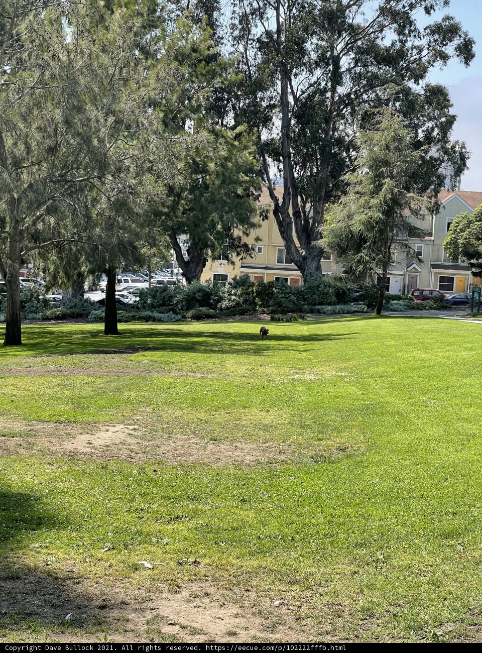 Peaceful Park Scene