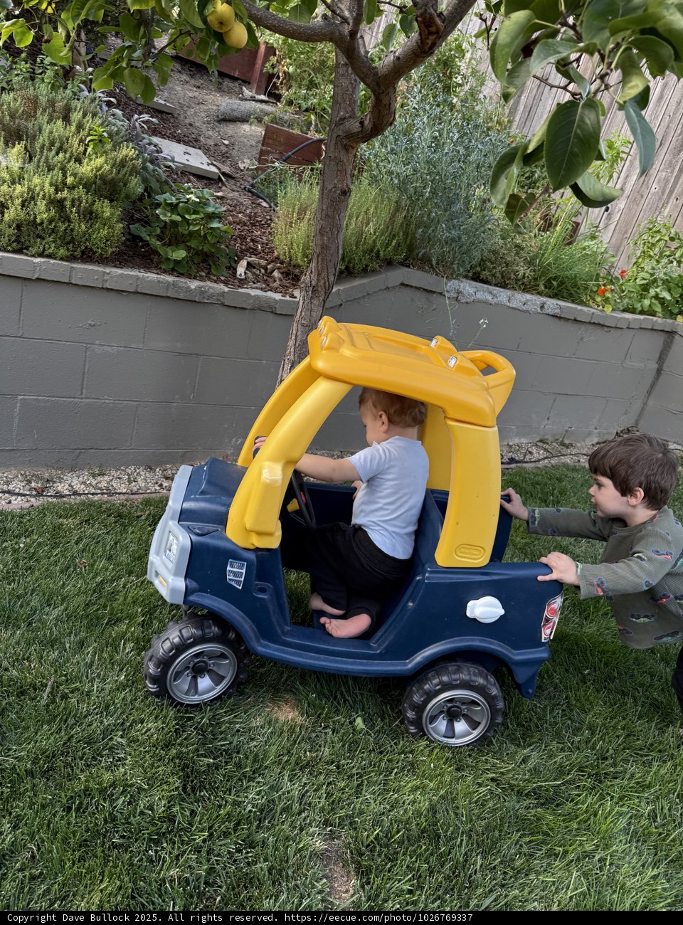 Backyard Adventures on a Summer Day
