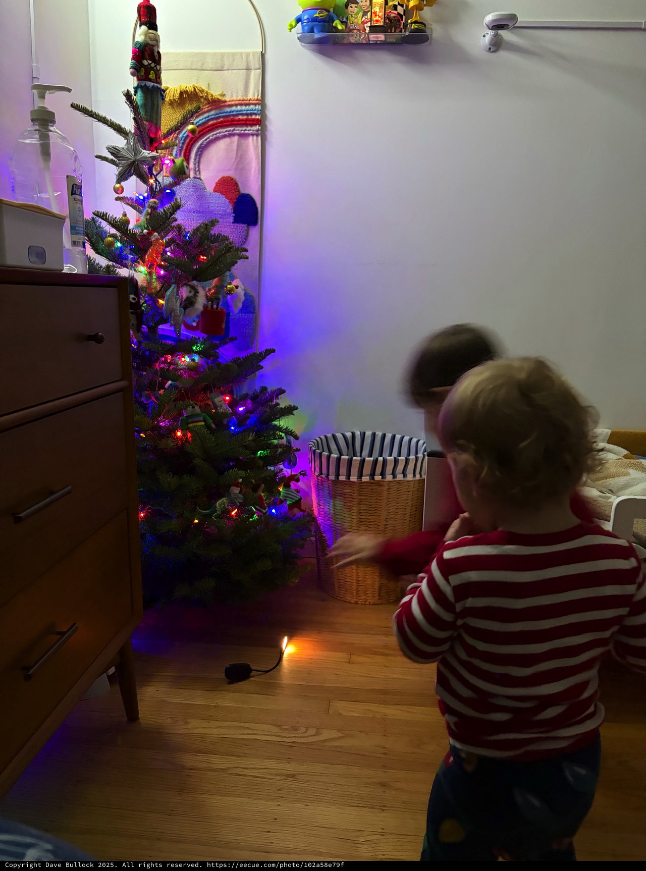 Children Mesmerized by Christmas Tree Lights at Night