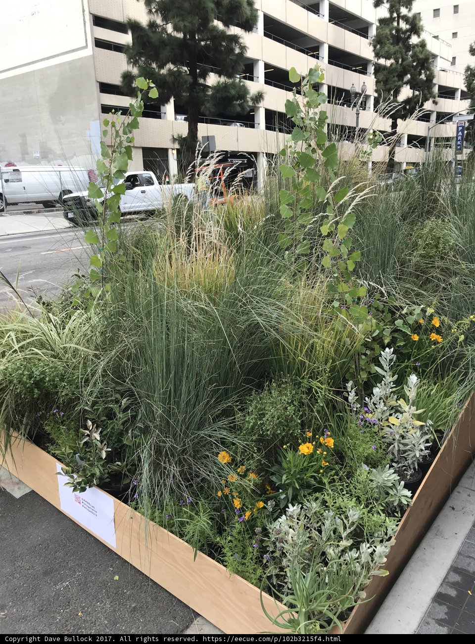 Box of Greenery