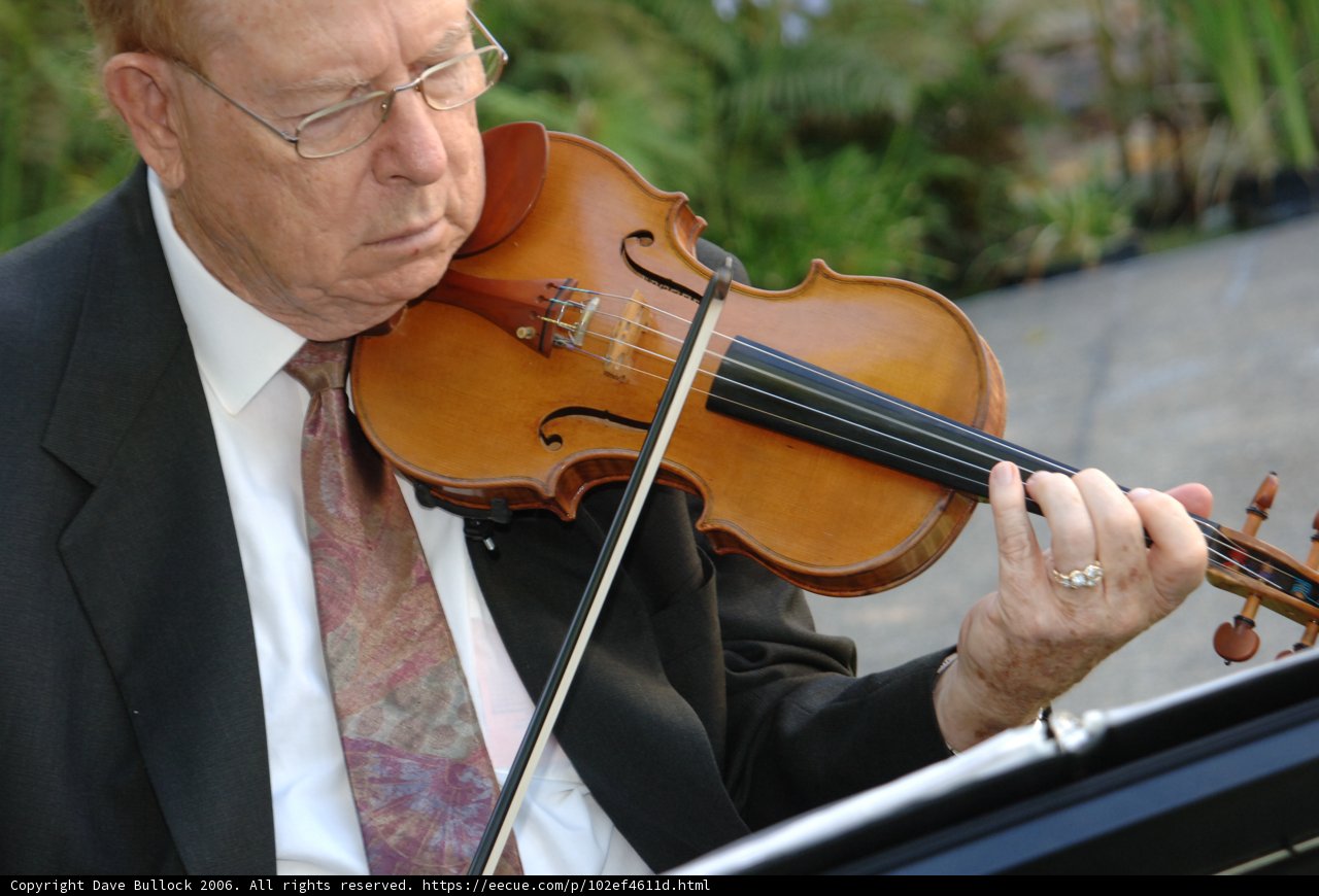 The Violinist
