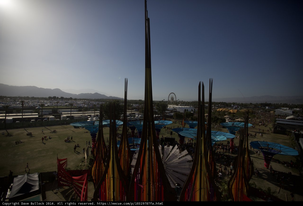 A Sunny View from Tent