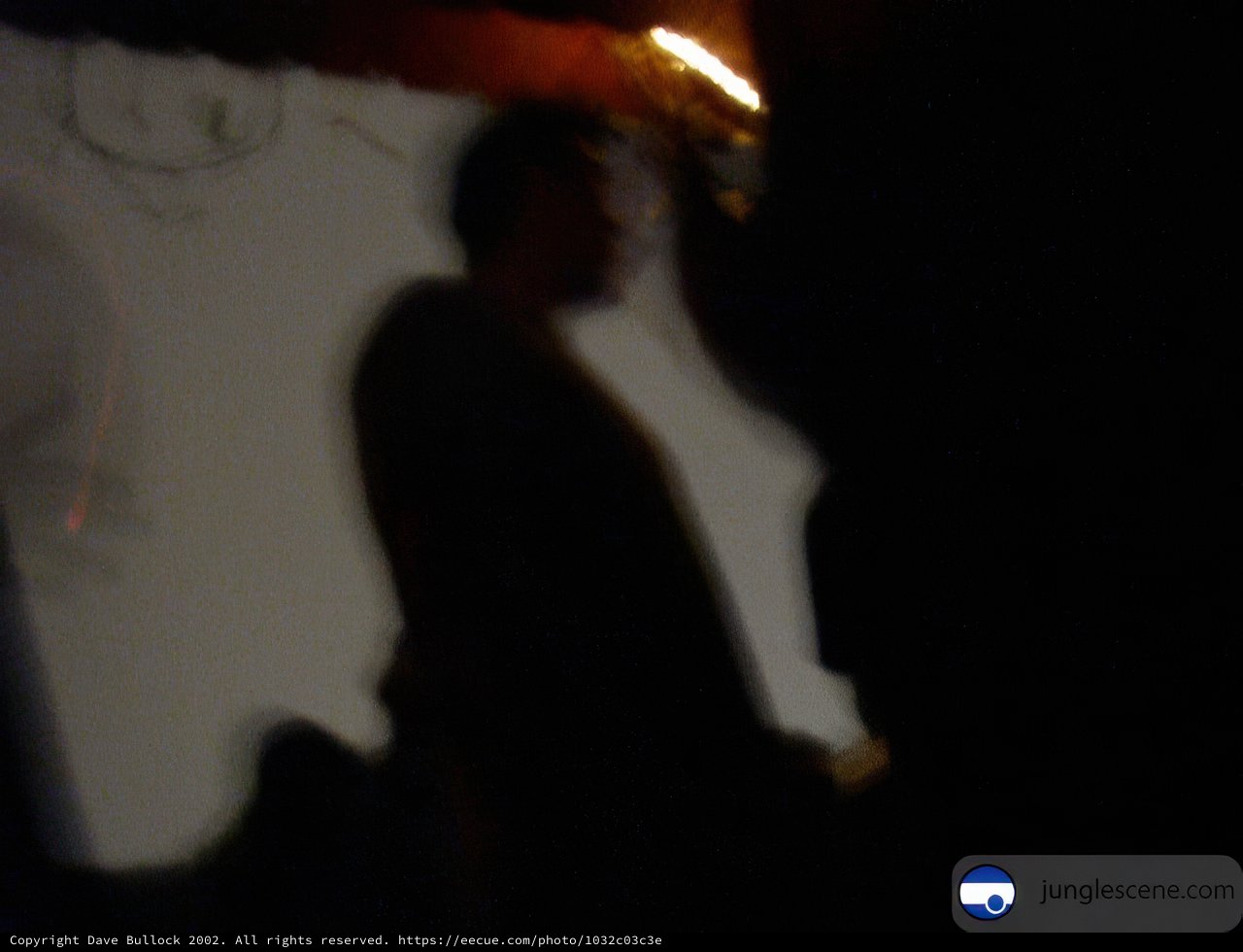 Searching in the Dark