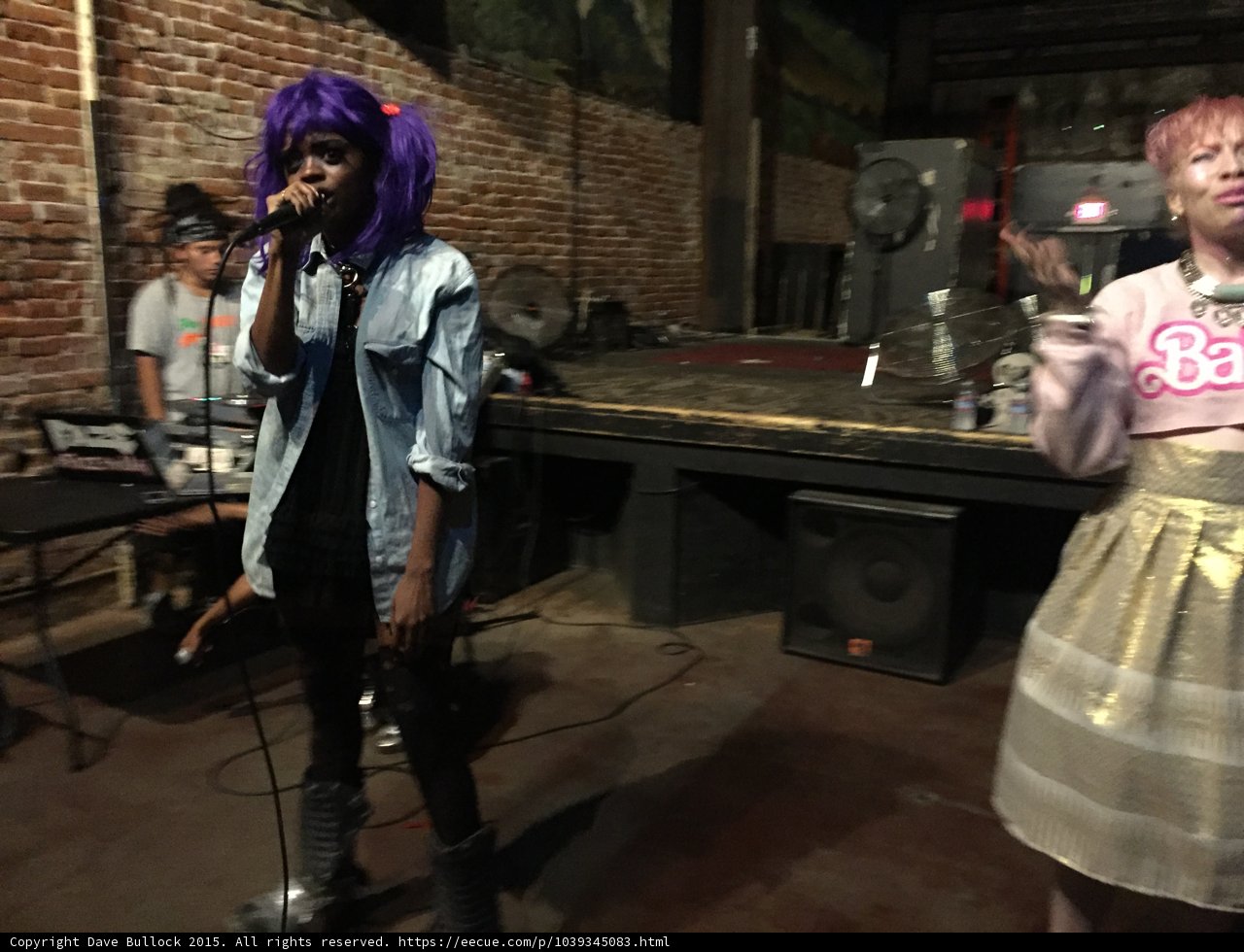 Purple Wig Performance