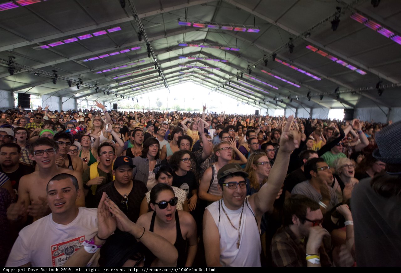 Festival Fever