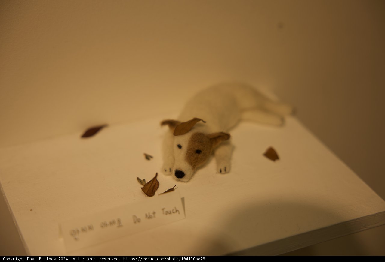 Canine Comrade Stationed on Wood