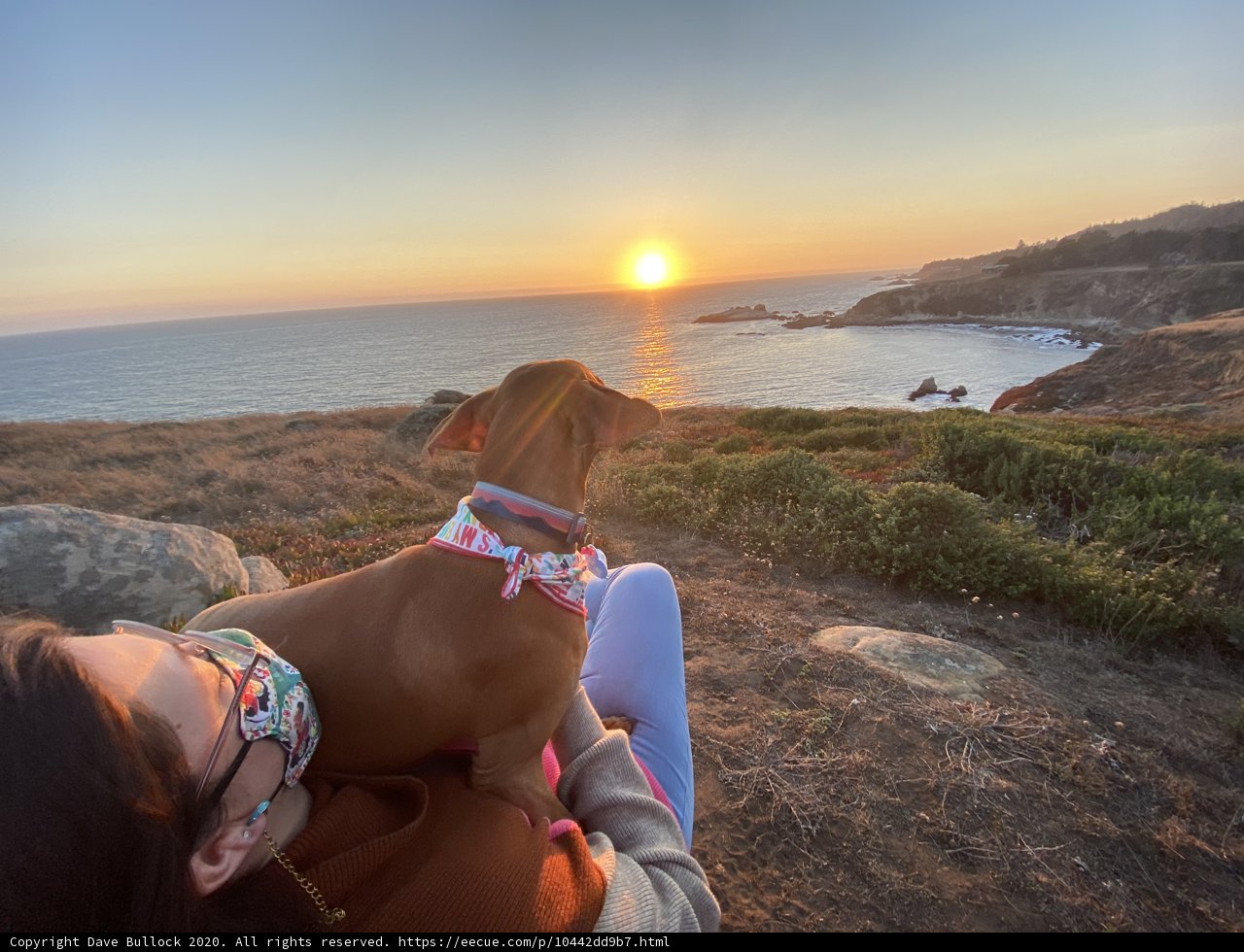Overlooking the Beauty of the Pacific