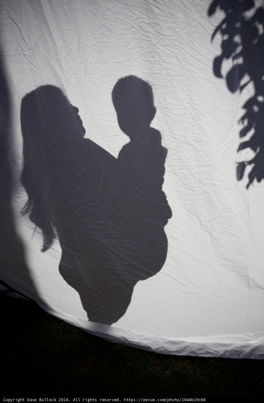 Embracing Shadows