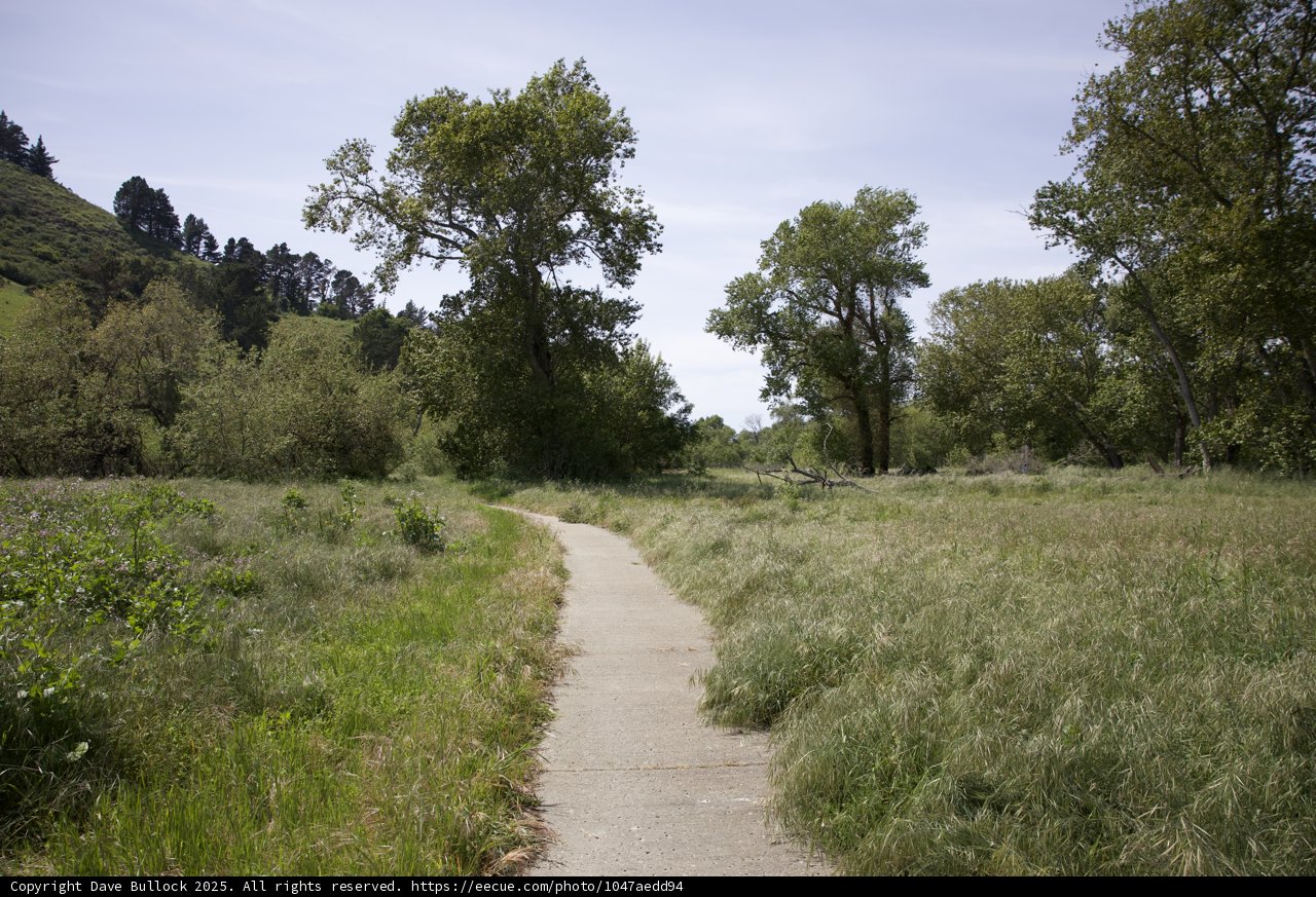 Tranquil Trails of Palo Corona