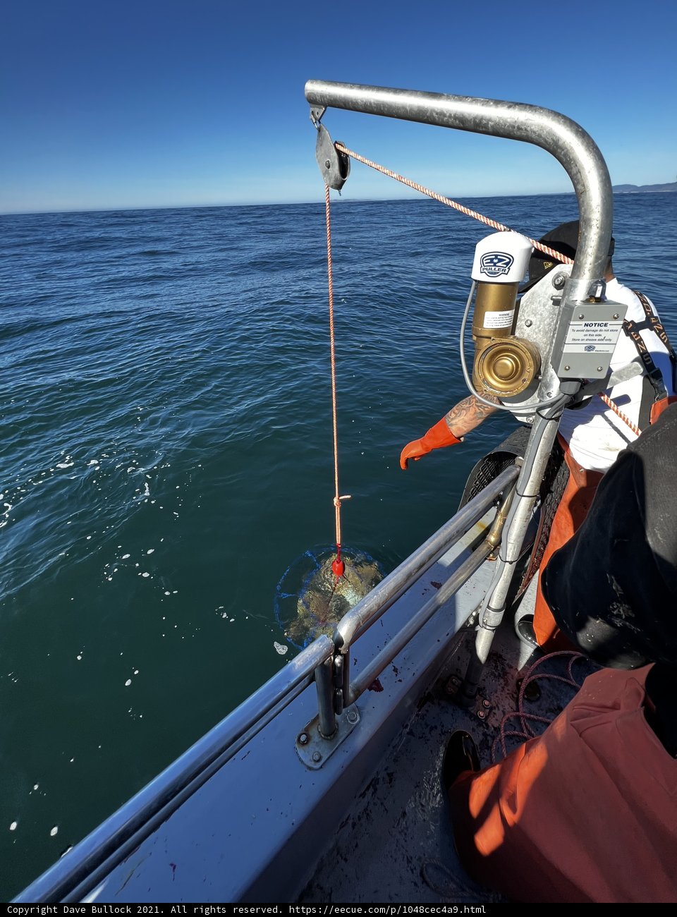 Fishing on the Open Waters