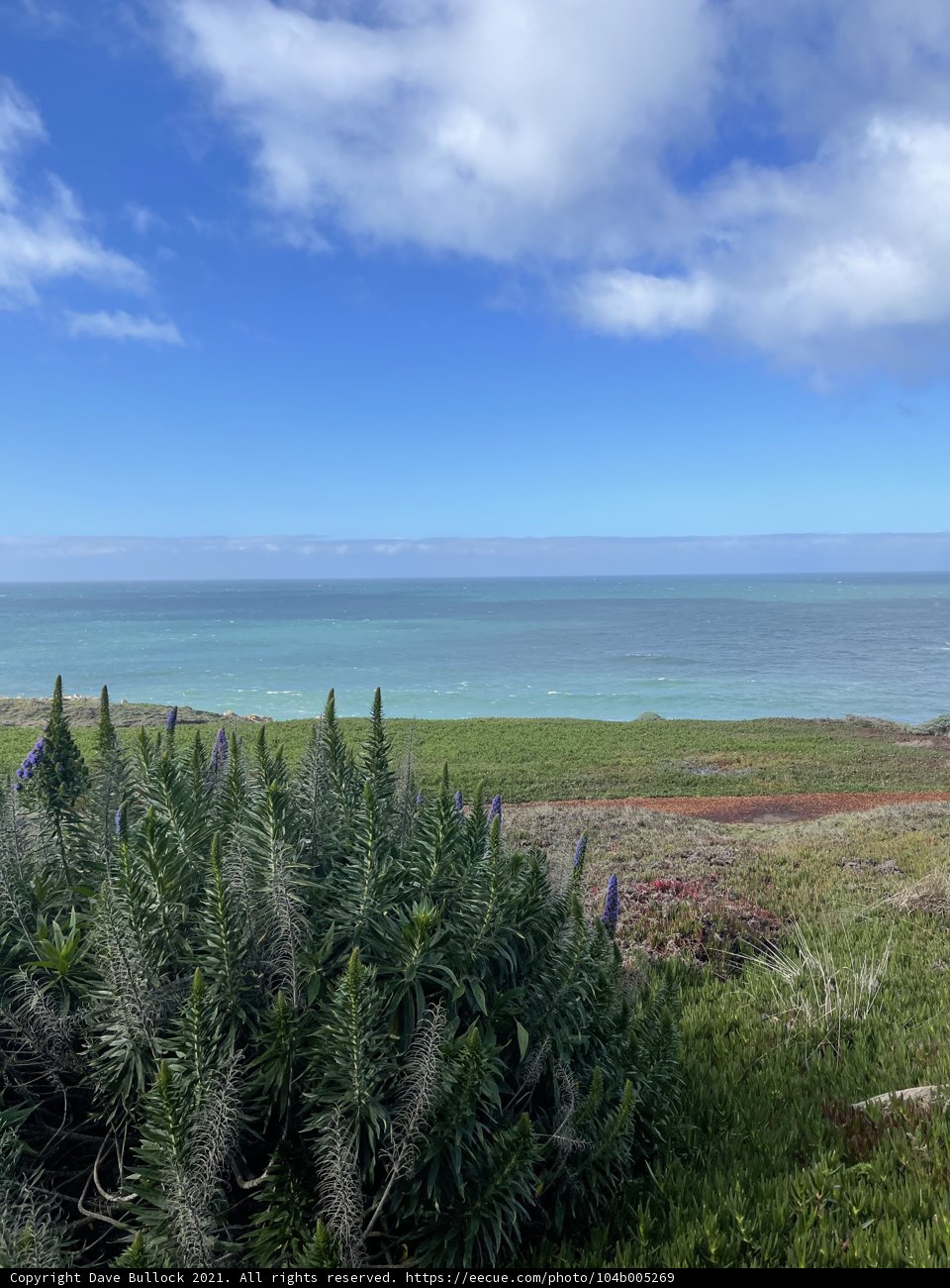 Panoramic Horizon