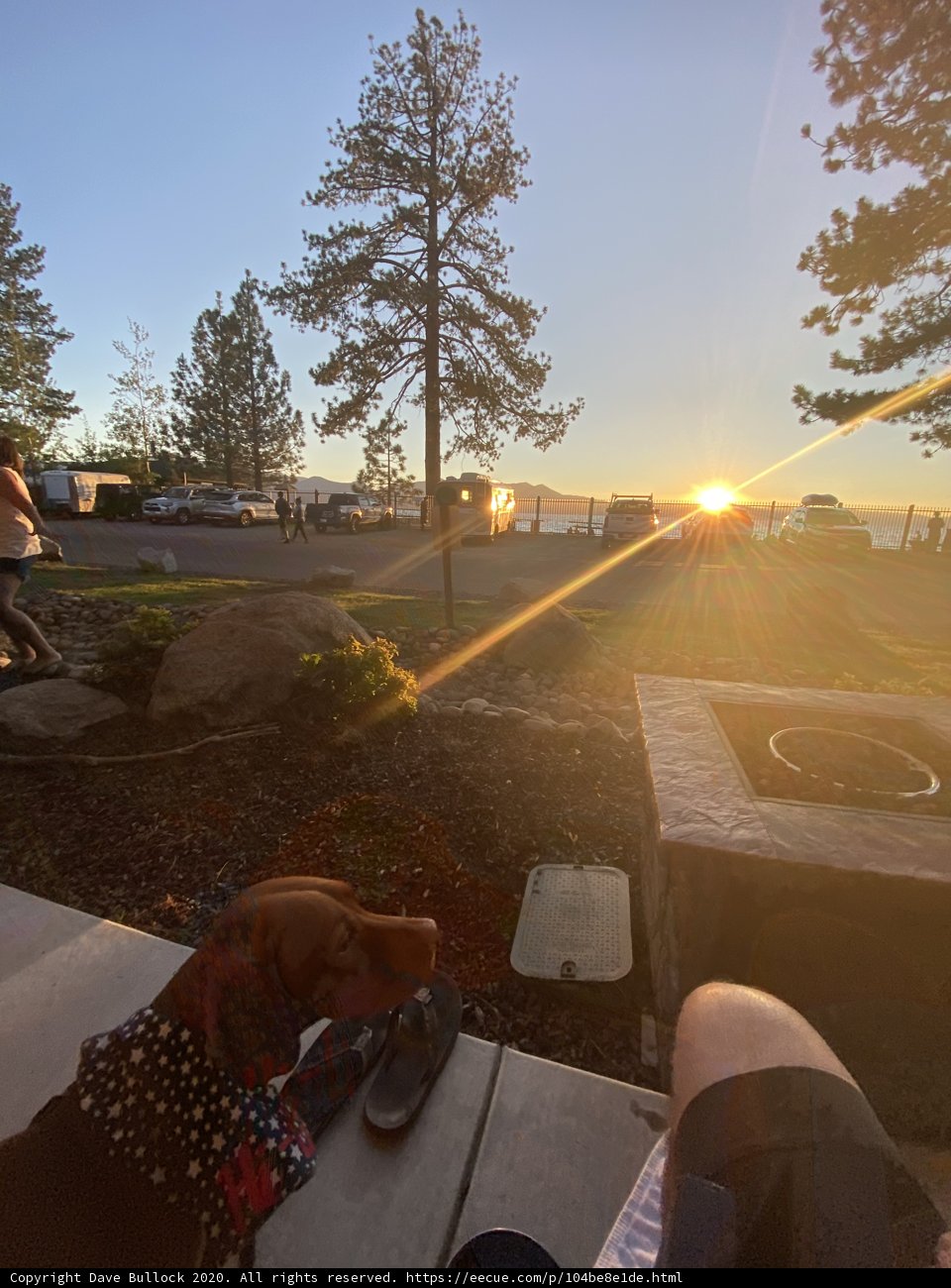 Sunset Companion