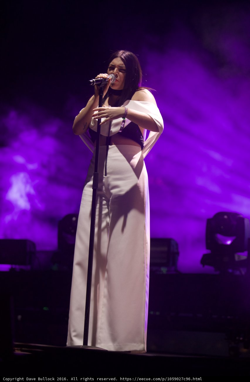 The Enchanting Songstress Captivates the Crowd