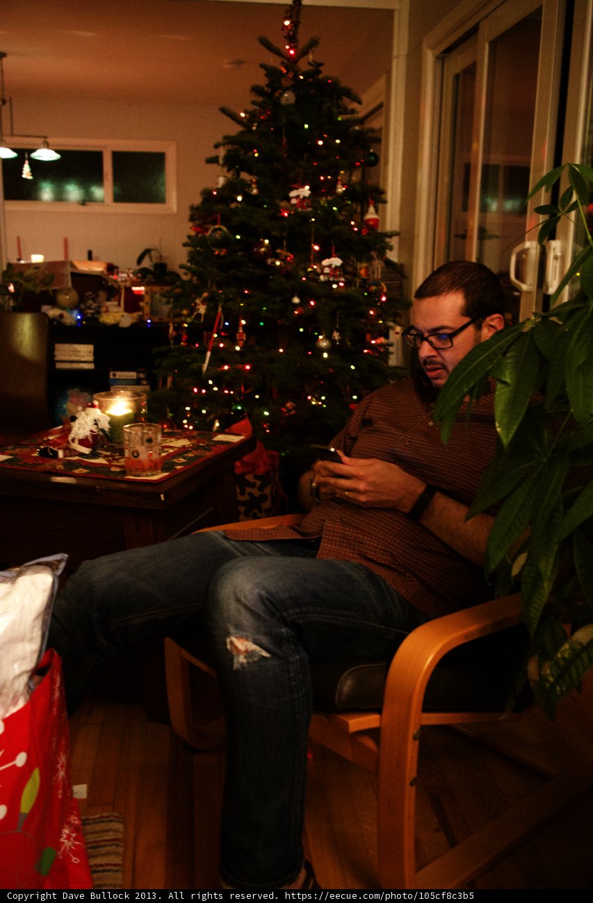 Festive Holiday Relaxation
