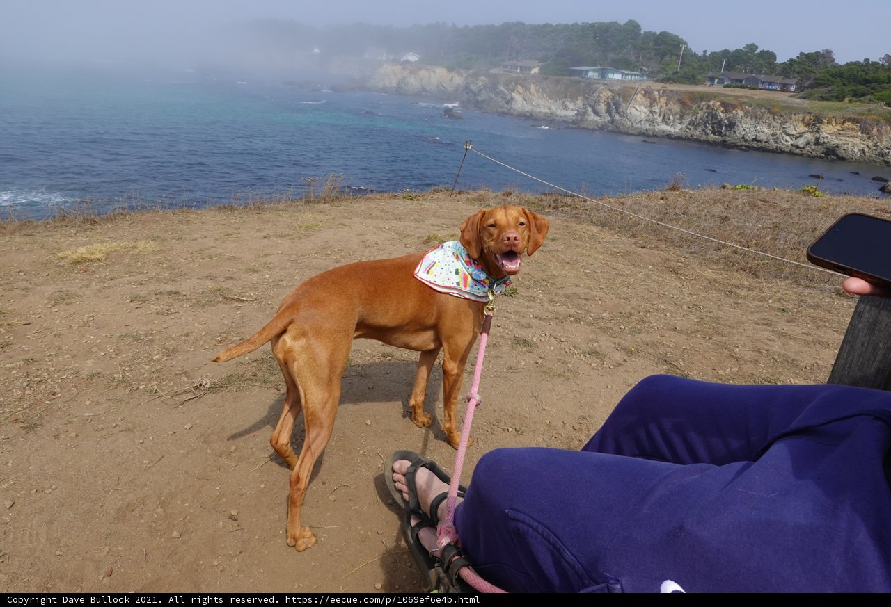 Beach Day with My Best Friend