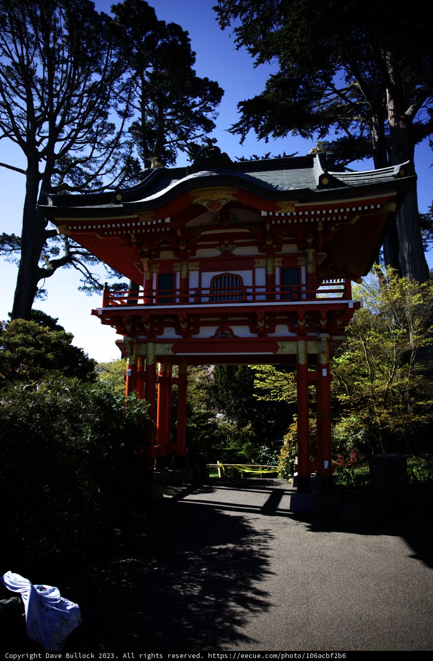 Serene Sanctuary at the Japanese Tea Garden