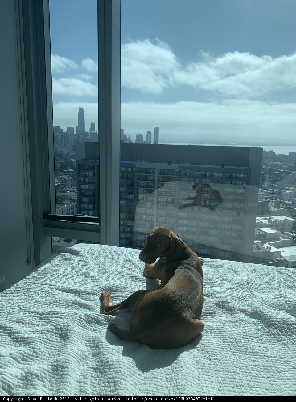 Urban Comforts