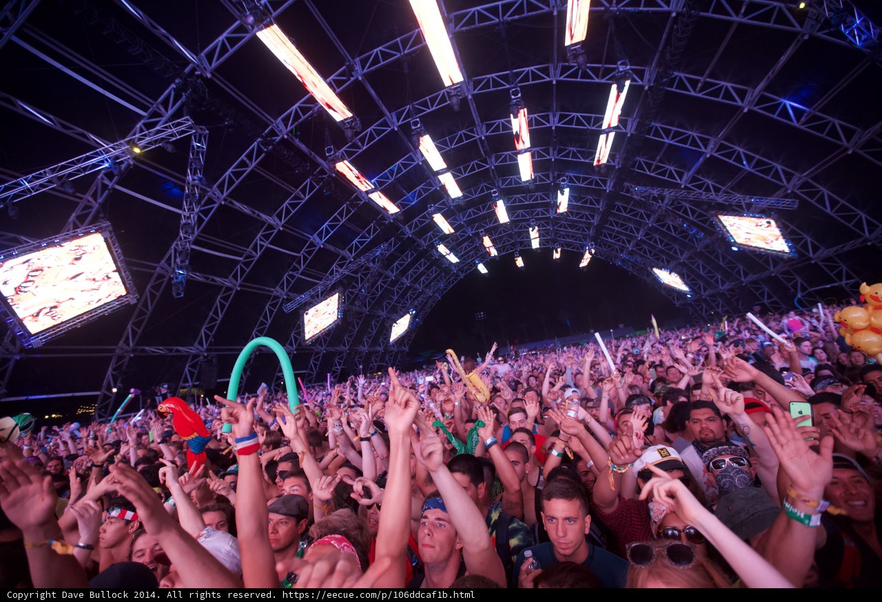Electric Vibes at Coachella