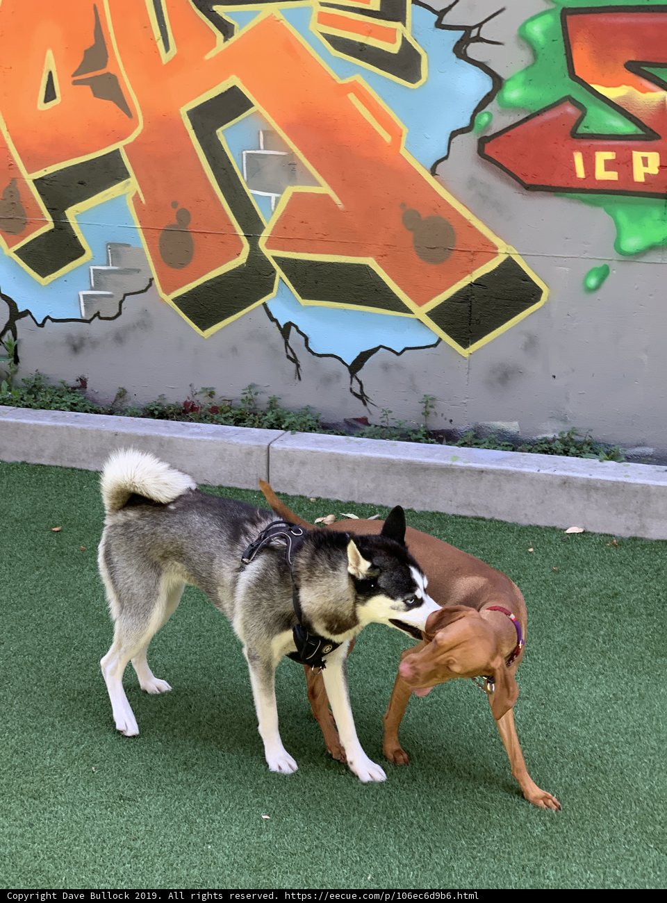 Graffiti Playtime