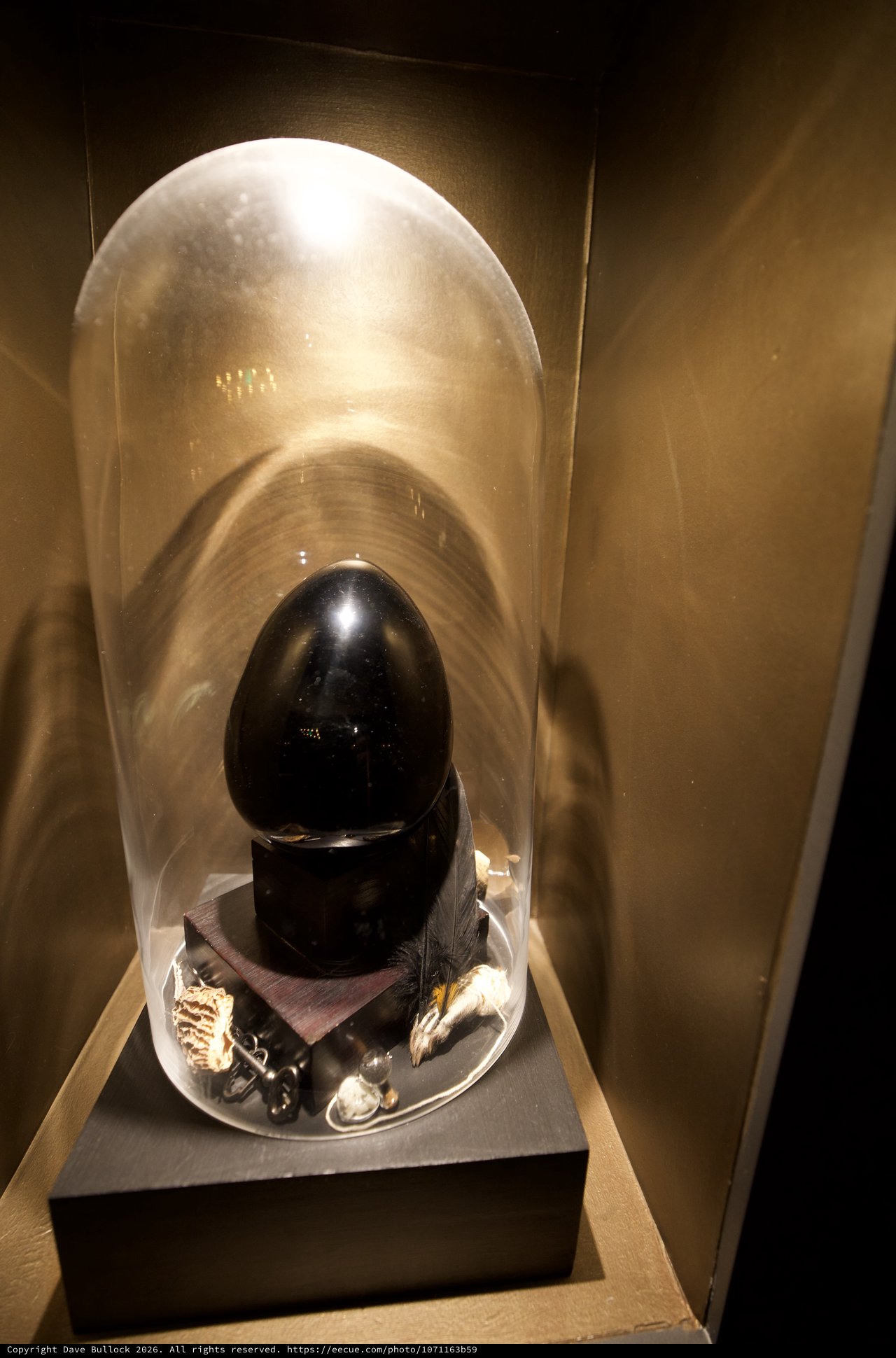 Polished Black Stone Egg in Glass Display Case