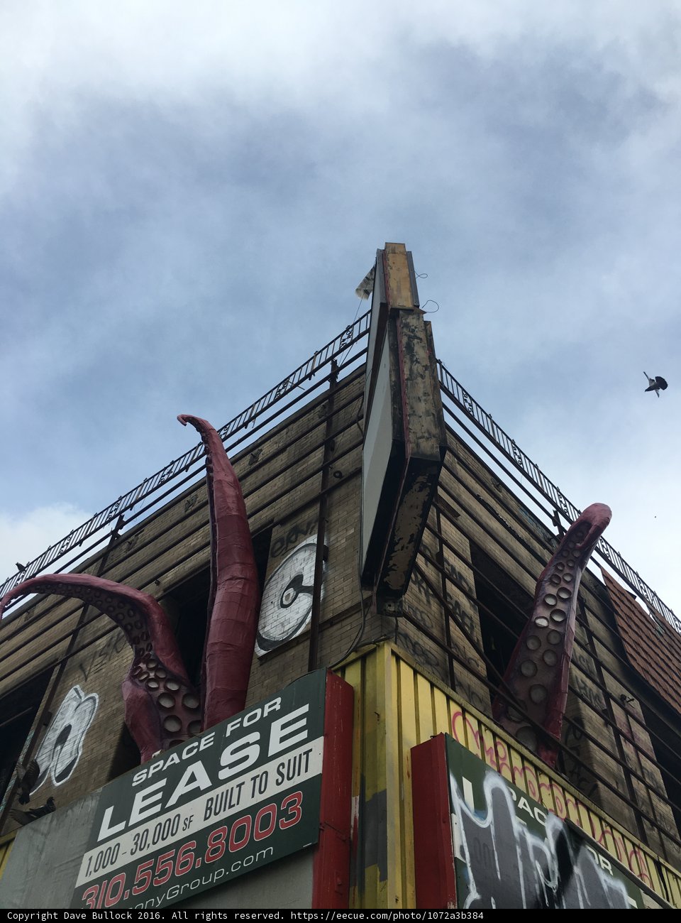The Leasing Tower