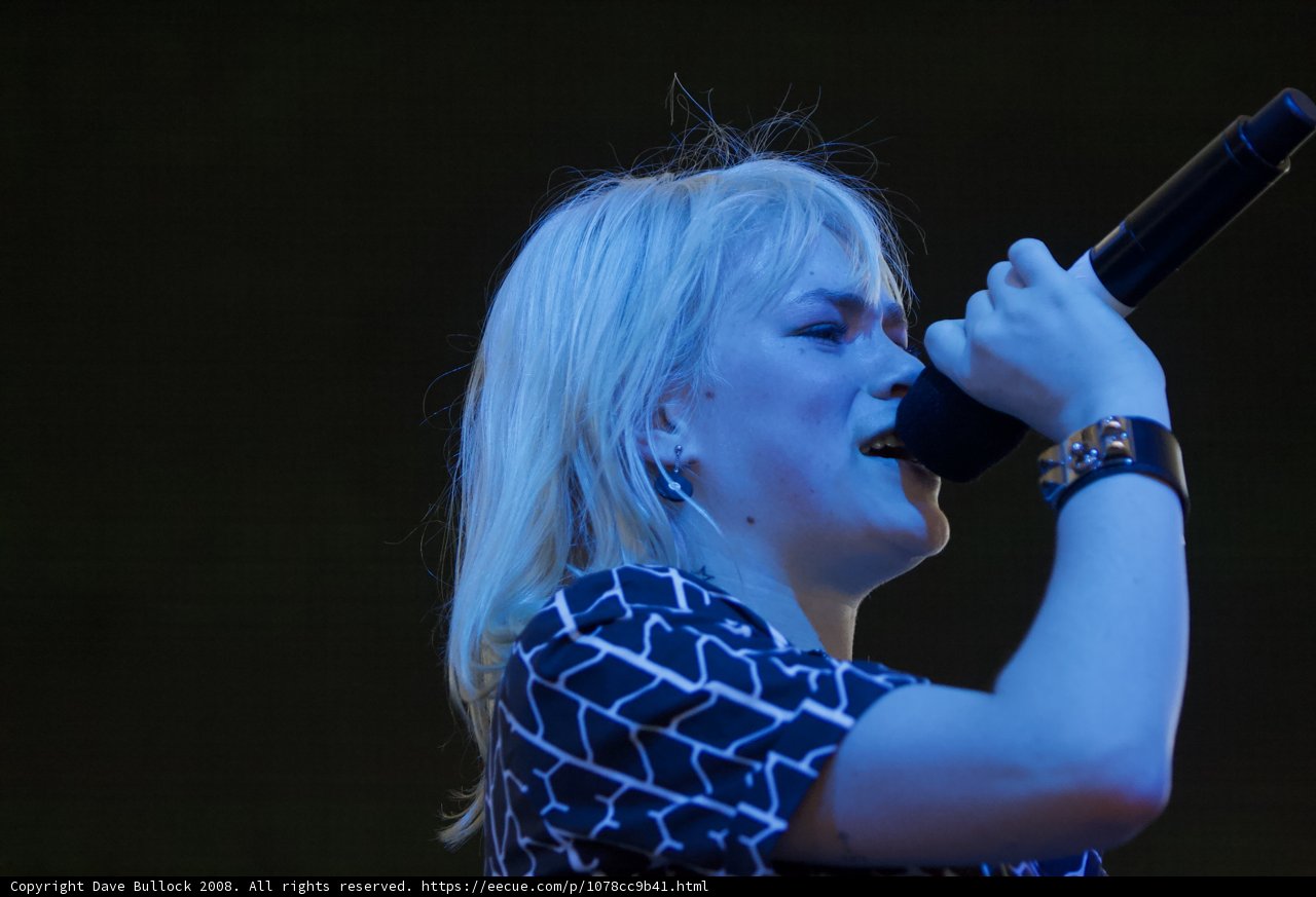 Blonde Entertainer Belting Out a Performance at Coachella in 2008