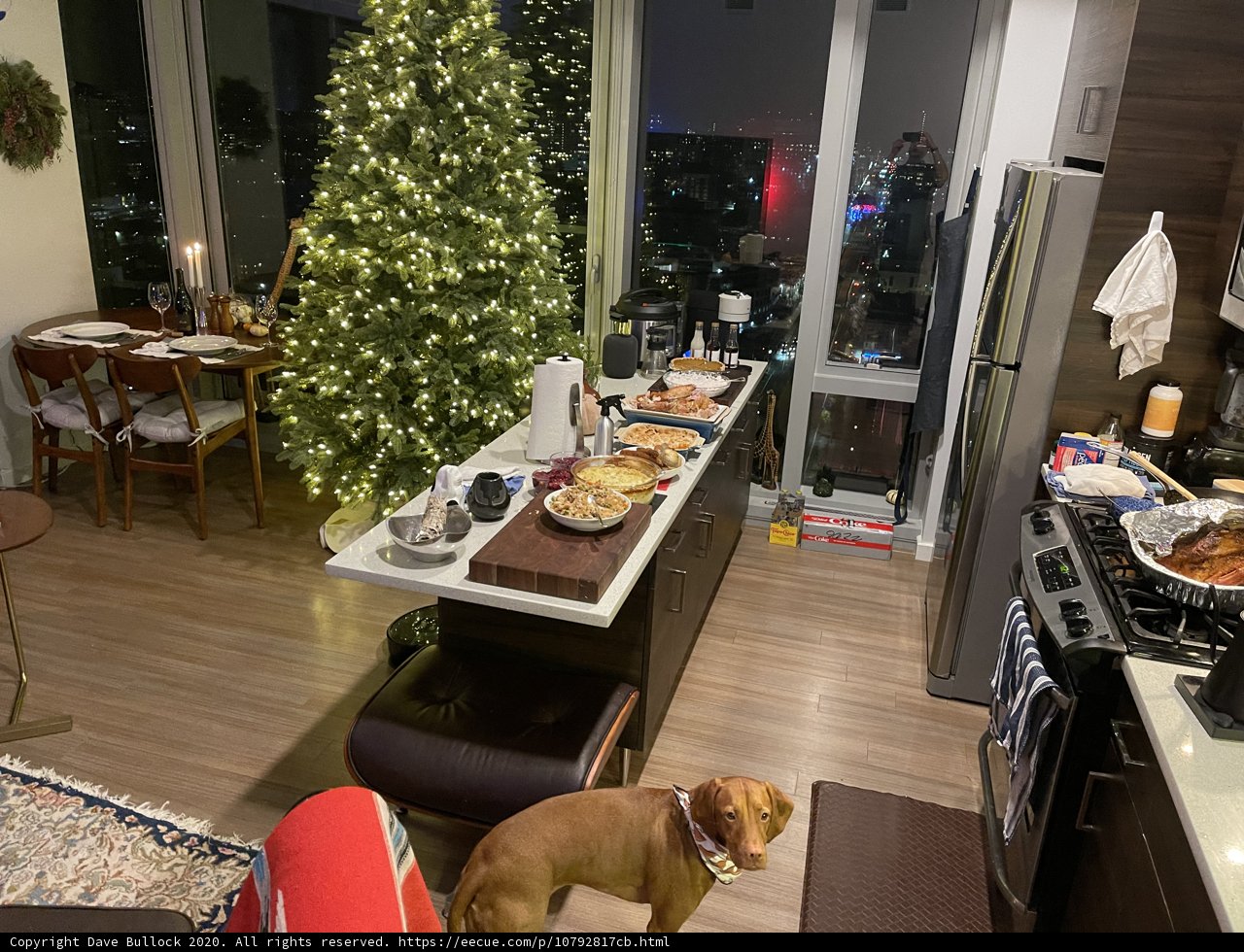 Pawsitively Festive Kitchen
