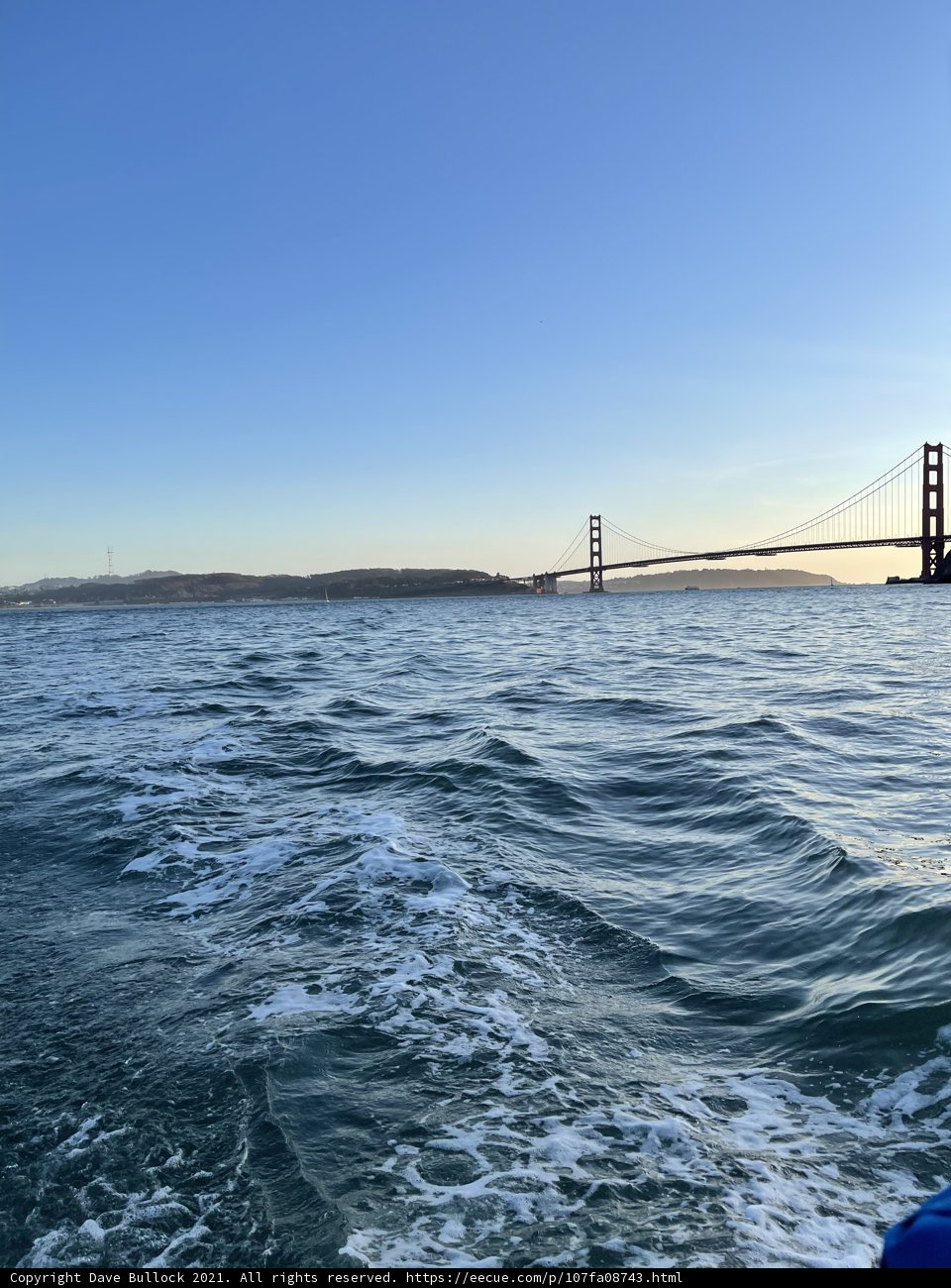 A Golden View of the San Francisco Skyline