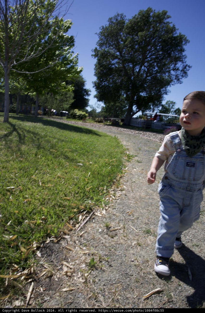 Young Explorer on the Trail