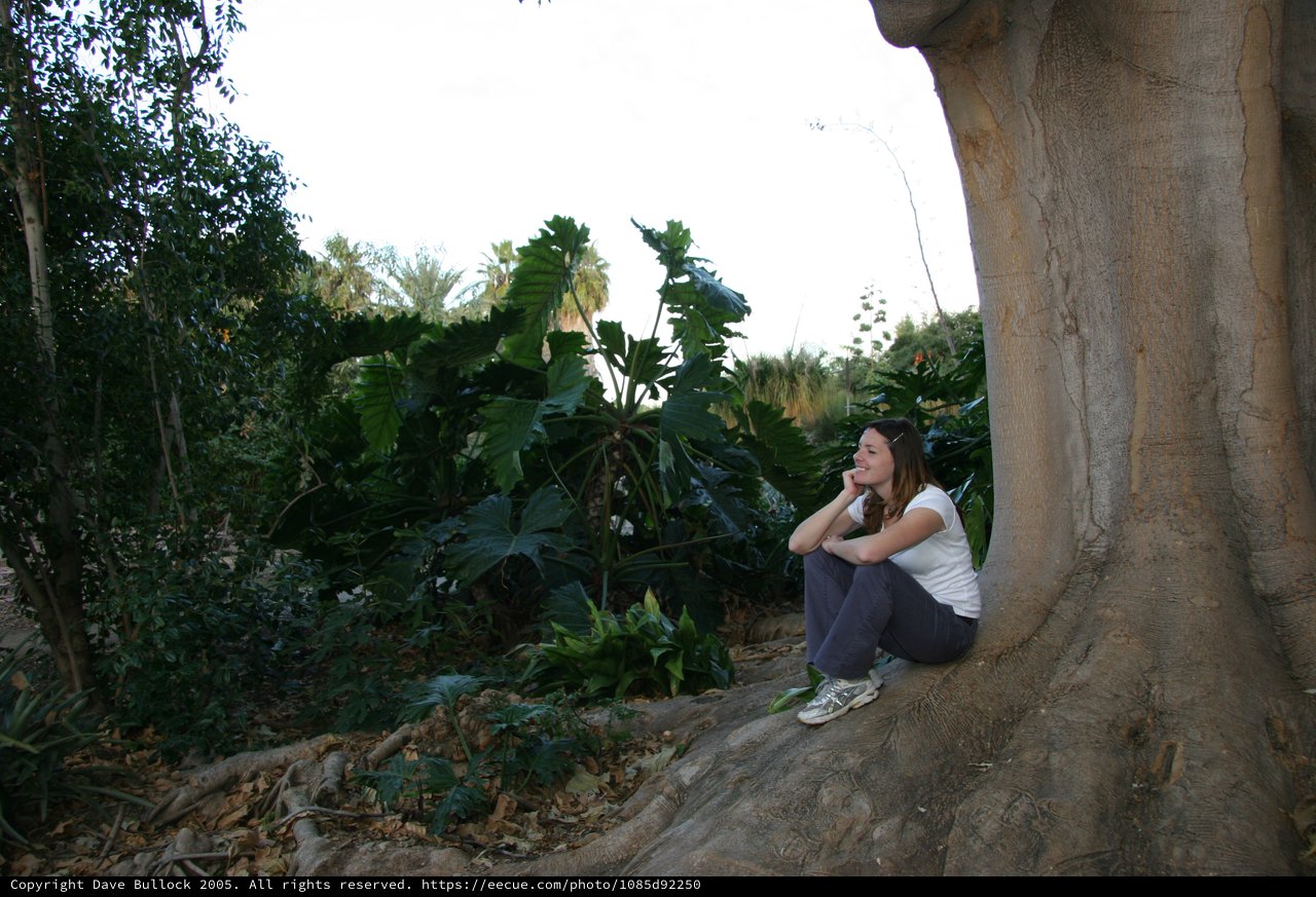 Young Woman Resting Against Ancient Tropical Tree Roots