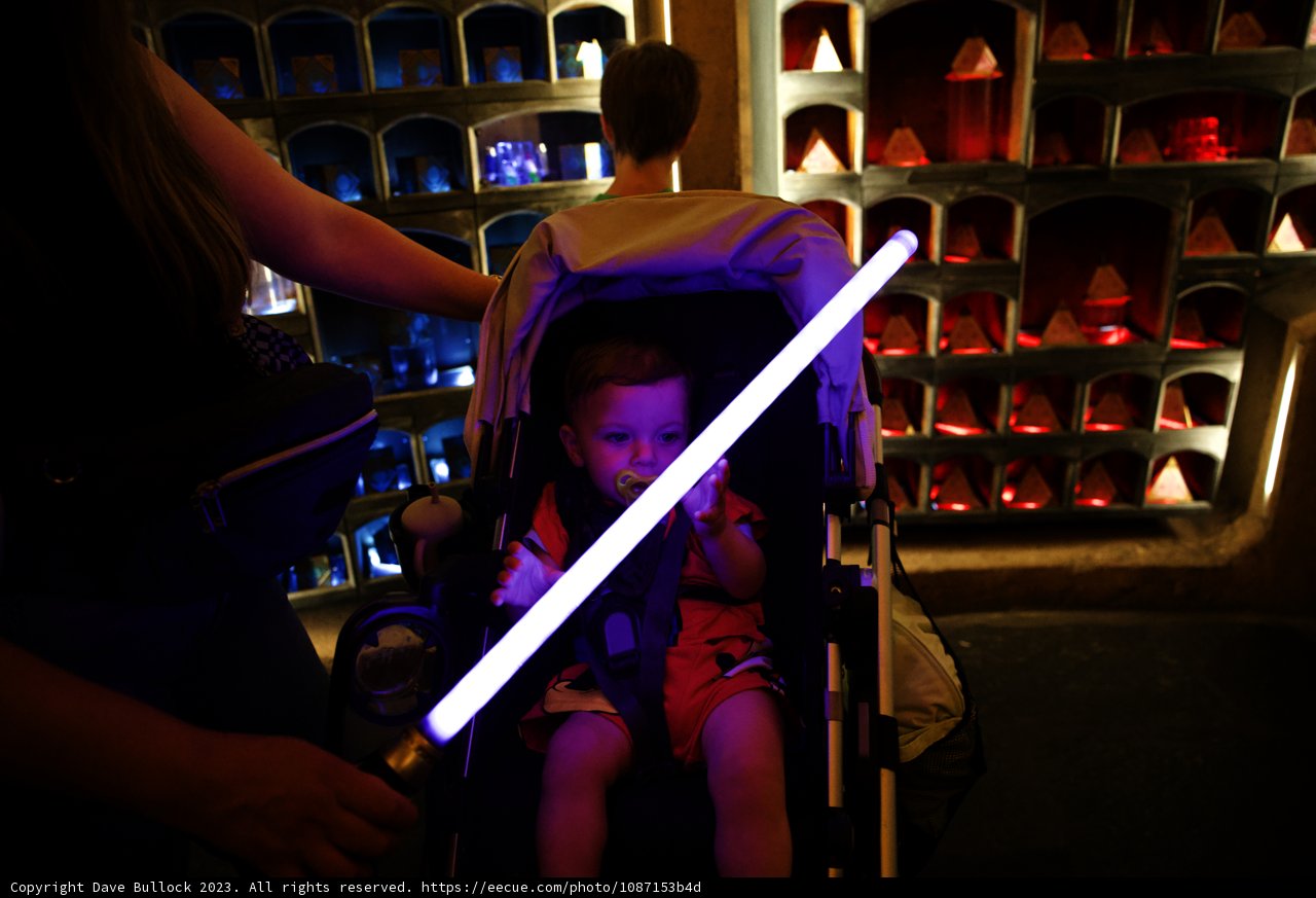 The Baby Jedi at Disneyland