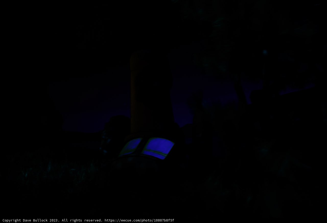 Enchanting Purple Night in Disneyland