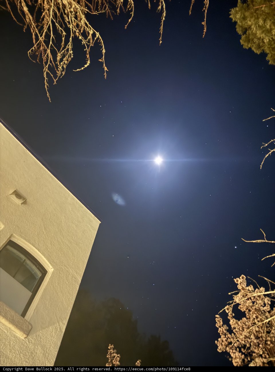 Celestial Night in Guerneville