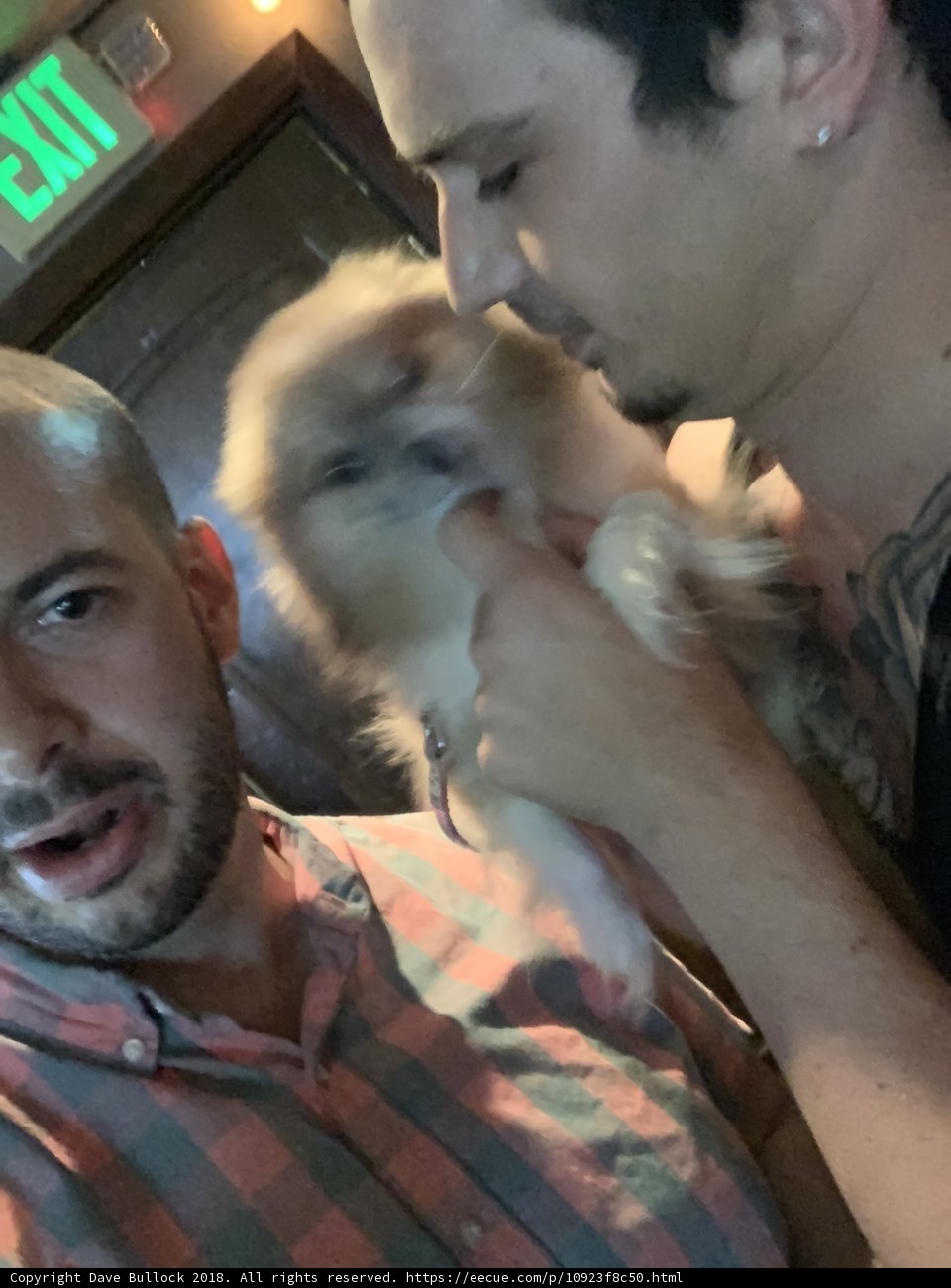 Two Men and Their Furry Companion