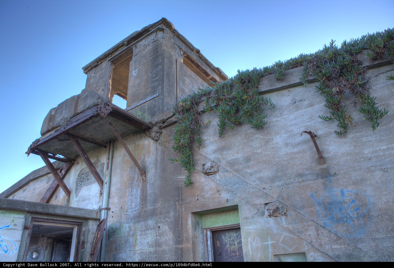 Graffiti and Ivy on Old Architecture