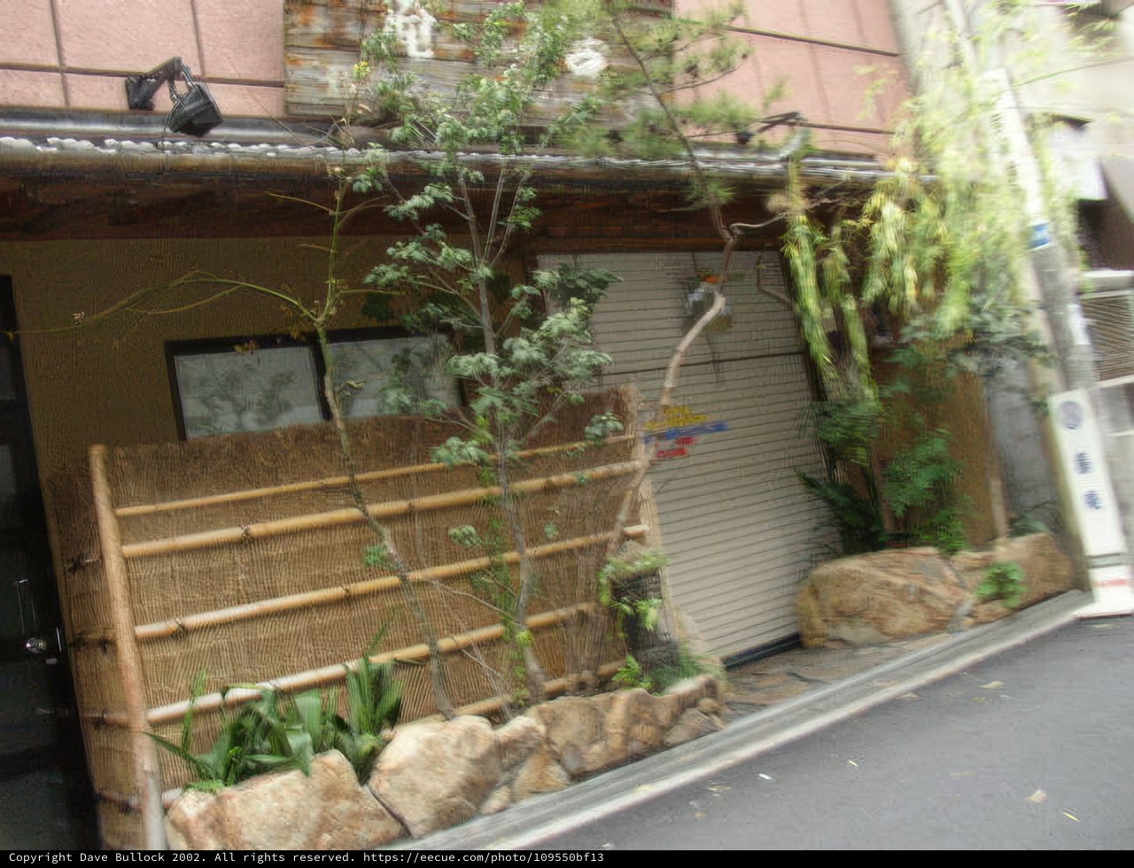 Serenity in the Streets of Osaka