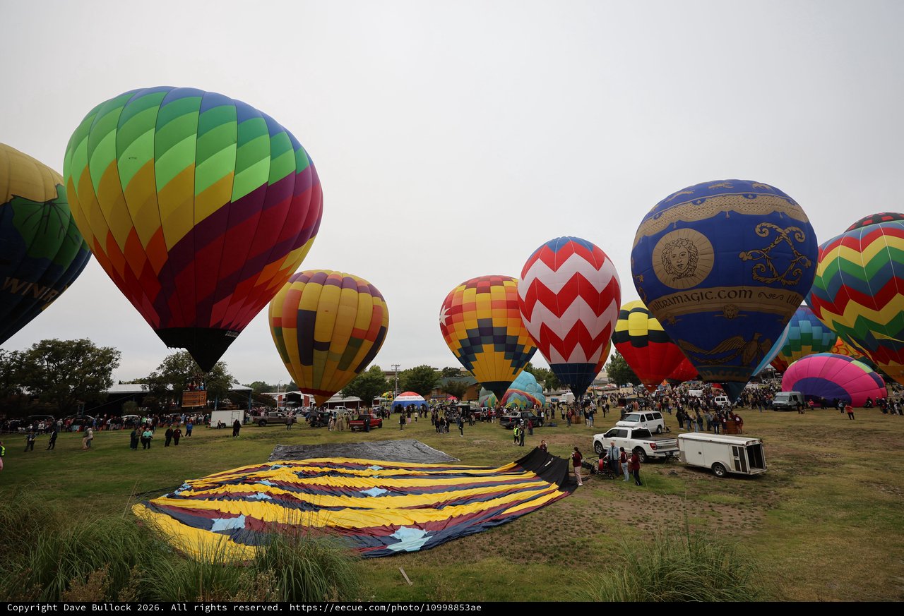Colorful Hot Air Balloons Rise at Sonoma County Classic