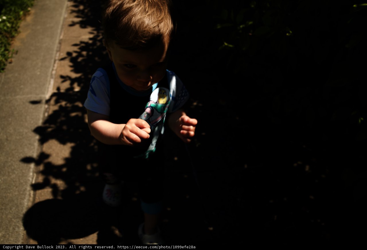 Adventure of the Young Brusher