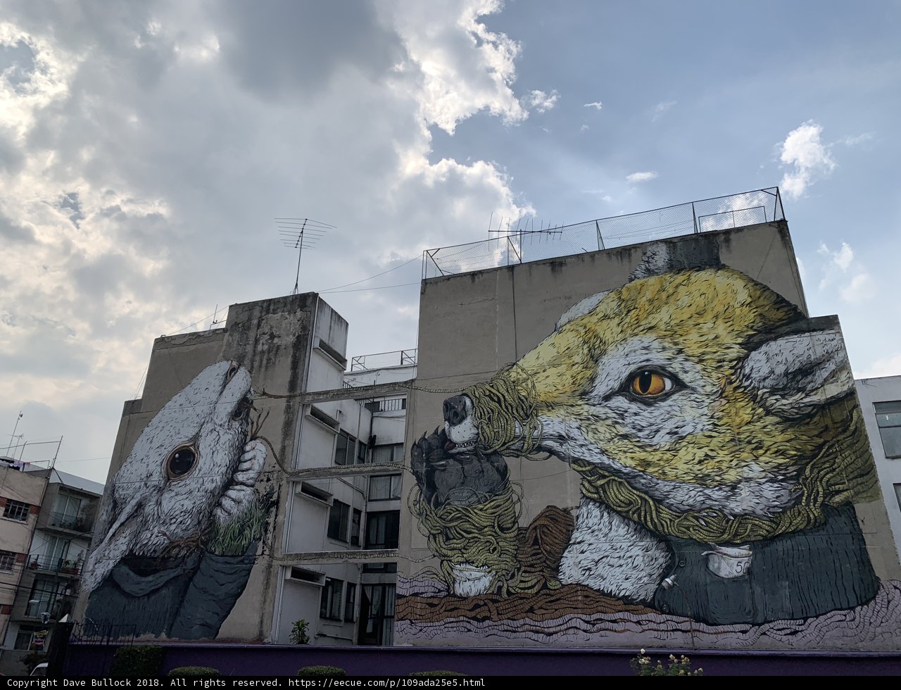 Wildlife Murals on Apartment Building