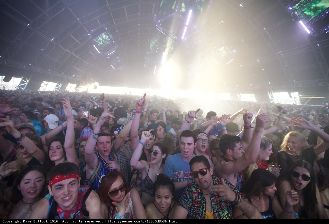 The Ultimate Coachella Crowd