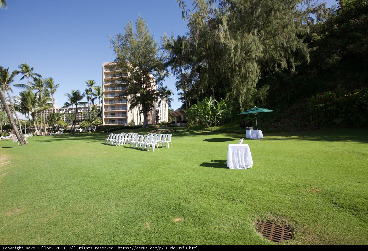 A Blissful Outdoor Wedding Ceremony Under the Sun