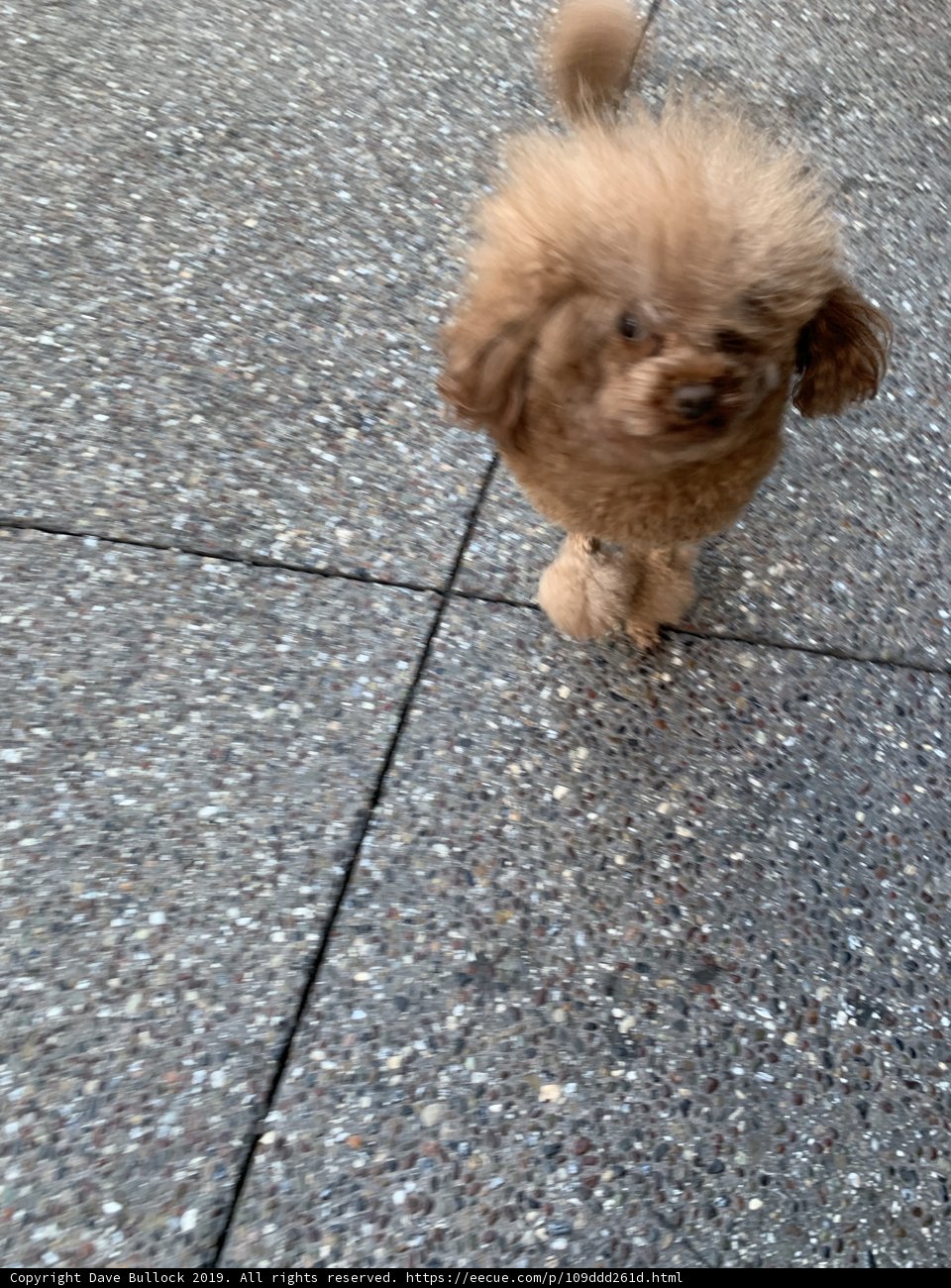 Strolling the Streets