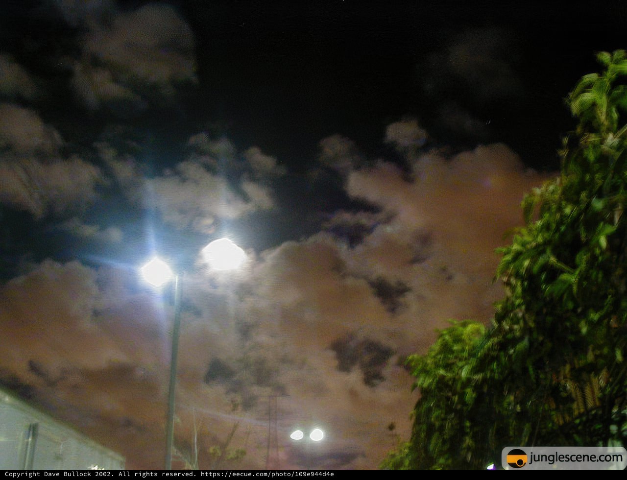 A Beacon in the Night Sky